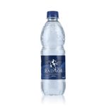 Radnor Hills Still Water 500Ml Pk24