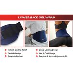 Reusable Cool/Heat Pack Low Back Blu