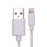 Usb 2 To Lightning Cable 1M White