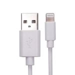 Usb 2 To Lightning Cable 3M White