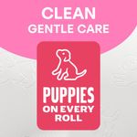 Family Toilet Roll 2-Ply Pk24