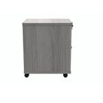 Polaris 2 Drw Mob Udesk Ped Agoak