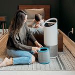 Leitz Allergy Carbon Filter Large