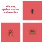 Raid Ant/Cockroach Killer 300Ml Pk6