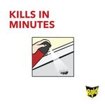 Raid Ant/Cockroach Killer 300Ml Pk6