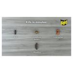 Raid Ant/Cockroach Killer 300Ml Pk6