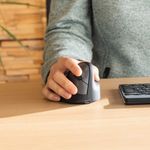 R-Go He Break Mouse Large Right