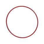 Essential Hula Hoop 24 Inch Red