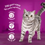 1+ Cat Food Tuna In Jelly 85G Pk28
