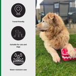 Pet First Aid Kit Red