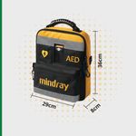 Hypaguard Outdoor Aed Cabinet W/Kit