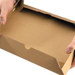 Carton/Lid 305X215X50Mm Brn Pk10