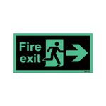 Niteglo Exit Man Arr Right S/A 15X45