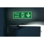 Niteglo Exit Man Arrw Down S/A 15X45