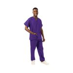 Unisex Scrub V-Neck Top Purple 2Xl