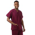 Unisex Lwt Scrub Top Maroon 3Xl