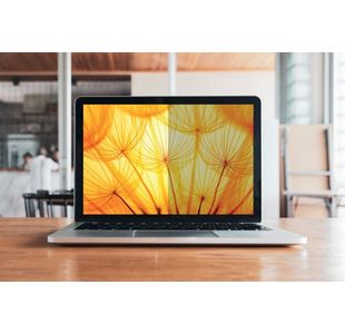 3M Privacy Filter 13.3In Laptop 16:9