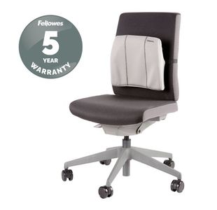 Fellowes Slimline Back Supp Graphite