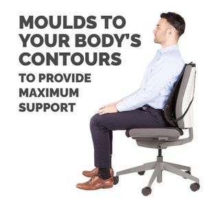 Fellowes Office Suite Mesh Back Supp