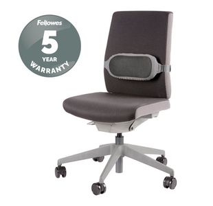 I-Spire Series Lumbar Cushion Grey