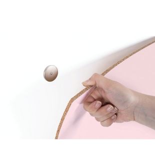 Mag Peony Board 2400X1000Mm Frmeless