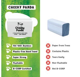 Z-Fold 2Ply Hand Towel 200/Pack Pk15