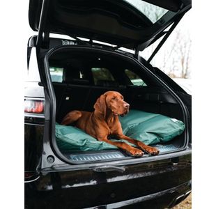 Danish Design County Pet Bed D Lg