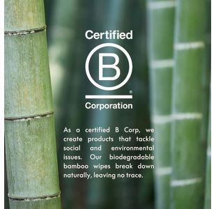 Biodegradable Bamboo Wipes Pk25