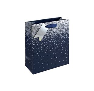 Eurowrap Navy Ombre Gift Bag Med Pk6