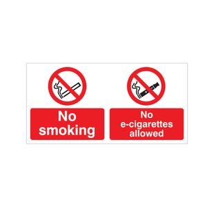 No Smoking No E-Cigs Vinyl 100X250