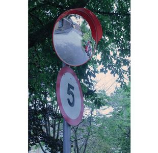 Outdoor Convex Mirror + Hood 450Mm