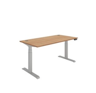 Dm Sit/Stand Desk 1600X800 Beech/Slv
