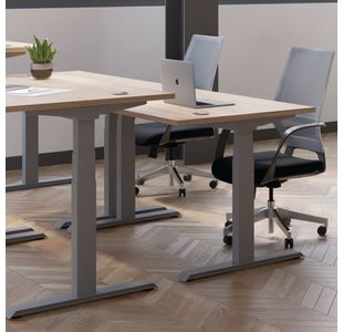 Jemini Sit/Stand Dsk 1400X800 G/Oak