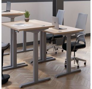 Jemini Sit/Stand Dsk 1600X800 G/Oak