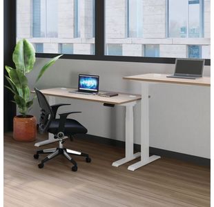 Jemini Sit/Stand Dsk 1600X800 N/Oak