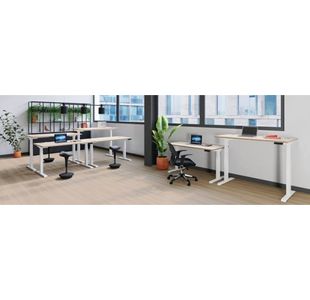 Jemini Sit/Stand Dsk 1600X800 Beech