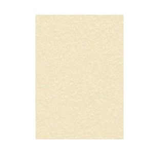 Decadry Paper 95G Parchmt Cham Pk100