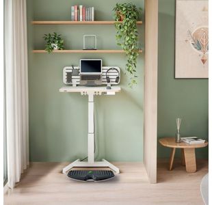 Leitz Ergo Active Balance Board