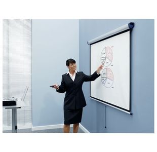 Nobo Projection Scn Mount 2000X1513