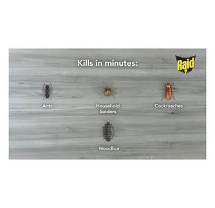 Raid Ant/Cockroach Killer 300Ml Pk6