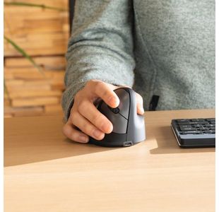 R-Go He Break Mouse Large Right