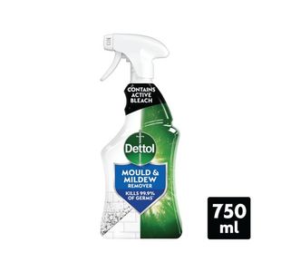 Dettol Mould Mildew Spray 750Ml Pk6