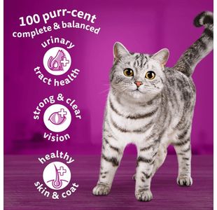 1+ Cat Complete Dry Chicken 800G Pk5