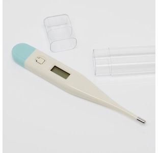 Blue Dot Digital Thermometer
