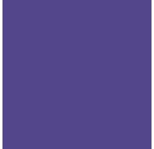 Breeze Womens Scrub Top Grape 3Xl