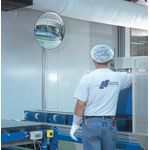 Detective-X Observation Mirror 700Mm