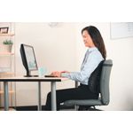 Kensington Conform Back Rest Black