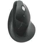 Kensington Pro Fit Ergo Wls Mouse