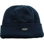 Thinsulate Navy Beanie Hat
