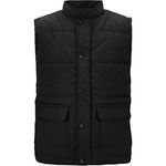 Black Bodywarmer L